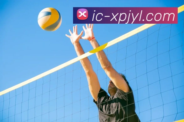 新葡京娱乐平台生态图